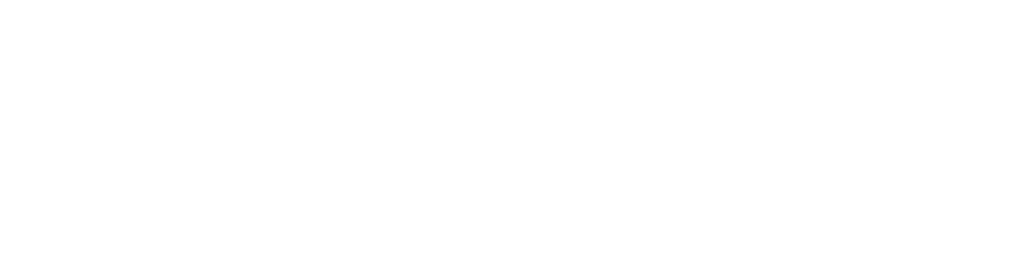 Dial Summary Logo